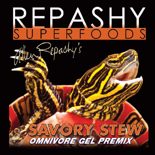 Savory Stew