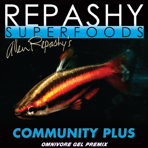 Community Plus