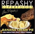 Banana Cream Pie