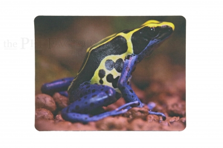 Mousepads, Pins & Kühlschrankmagnete