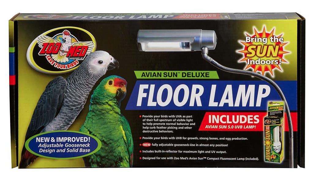 Birds