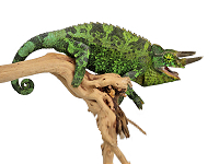 Reptilien