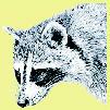 Wildtierhilfe Fiel e.V.