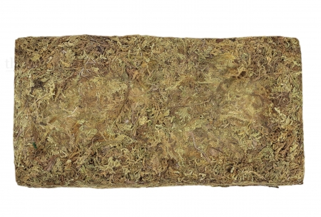 Trocken-Moos 100g