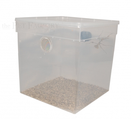 Mantis-Box