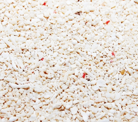 Korallensand 1kg Beutel