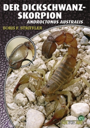 Der Dickschwanzskorpion (Androctonus australis)