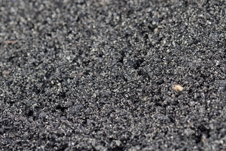 Wiloground 2,5kg