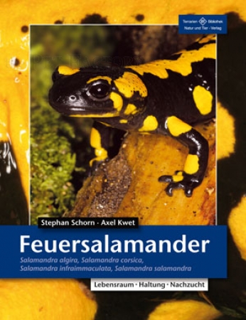 Feuersalamander