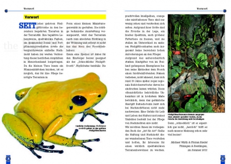 Der Schreckliche Pfeilgiftfrosch - Phyllobates terribilis