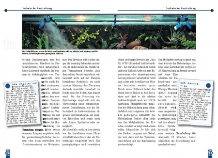 Der Schreckliche Pfeilgiftfrosch - Phyllobates terribilis