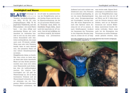 Der Blaue Pfeilgiftfrosch - Dendrobates tinctorius "azureus"