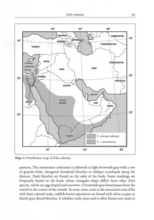 Venomous terrestrial Snakes of the Middle East