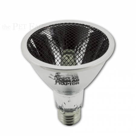 SolarRaptor HeatingLamp 60W