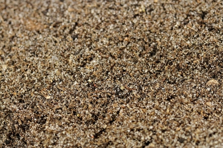 Torf-Sandmischung 3kg