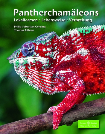 Pantherchamäleons