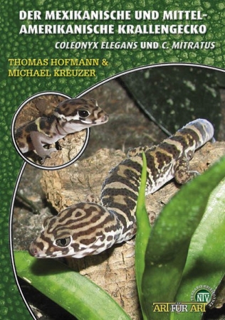 Mexikanischer und Mittelamerikanischer Krallengecko