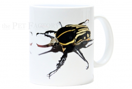 Kaffeebecher "Mecynorrhina kraatzi"