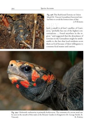 Amphibians and Reptiles of the St. Vincent and Grenada Banks, We