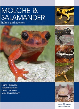 Molche und Salamander - halten und züchten (Softcover)