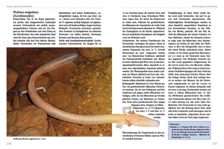 Molche und Salamander - halten und züchten (Softcover)