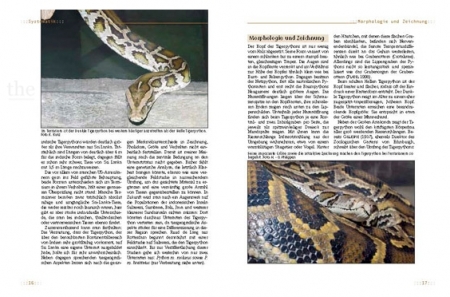 Tigerpythons