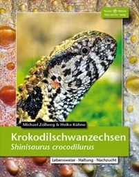 Krokodilschwanzechsen - Shinisaurus crocodilurus