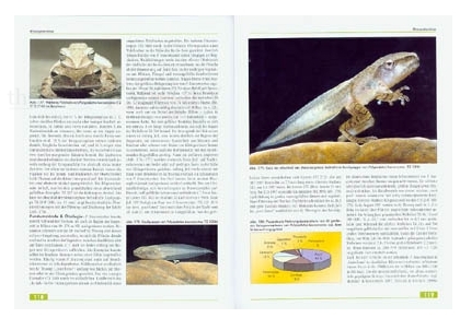 Die Amphibien und Reptilien eines Tieflandfeuchtwaldschutzgebietes in Vietnam