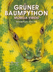 Grüner Baumpython - Morelia viridis