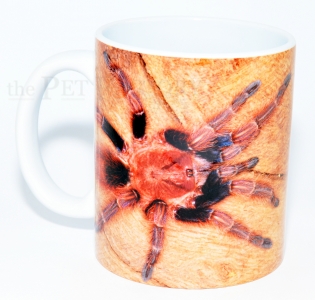 Kaffeebecher "Bonnetina cyaneifemur"