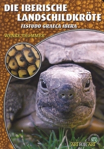 Die Iberische Landschildkröte (Testudo graeca ibera)
