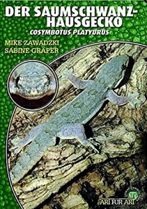 Der Saumschwanz-Hausgecko (Cosymbotus platyurus)