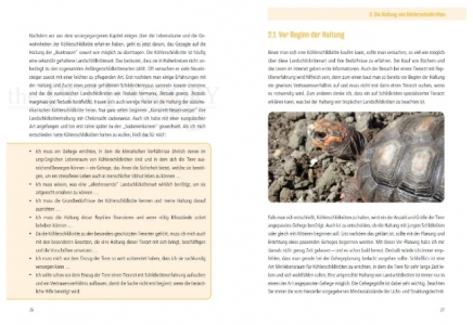 Die Köhlerschildkröte Chelonoidis carbonarius