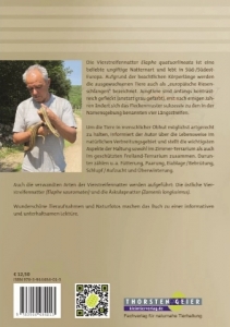 Die Vierstreifennatter Elaphe quatuorlineata