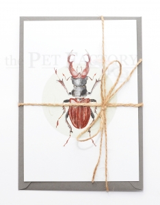 Postcard Lucanus