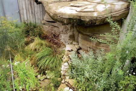 Captive Habitats - Building, furnishing and maintaining
