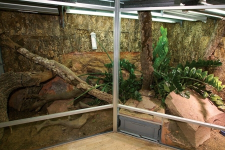 Captive Habitats - Building, furnishing and maintaining