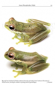 Amphibians of Cambodia