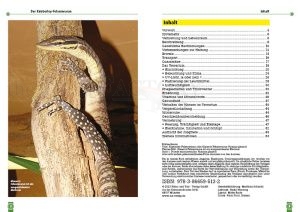 Glauerts Felsenwaran - Varanus glauerti