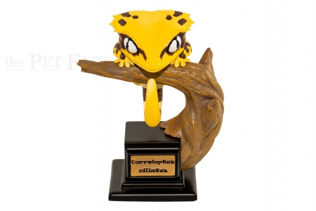 Japanfigur Rhacodactylus ciliatus STUDIO SERIES