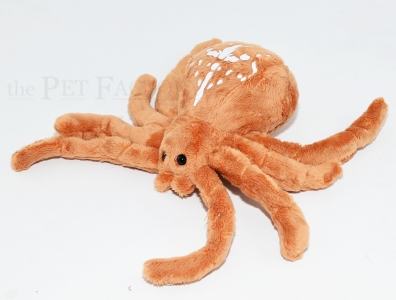 Kuschel Kreuzspinne
