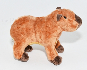 Kuschel Capybara