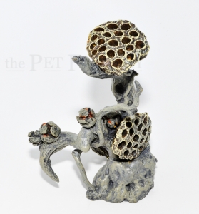 biOrb EARTH Lotus seedpod on Root L