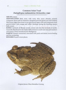The Amphibians of Bhutan