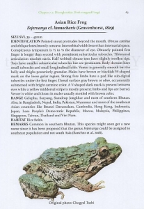 The Amphibians of Bhutan
