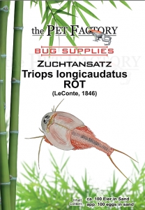 Zuchtansatz Triops longicaudatus RED