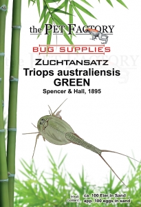 Zuchtansatz Triops australiensis GREEN