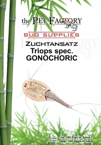 Zuchtansatz Triops spec. GONOCHORIC