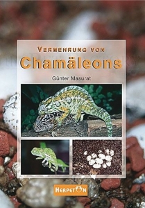 Vermehrung von Chamäleons