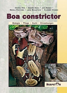 Boa constrictor